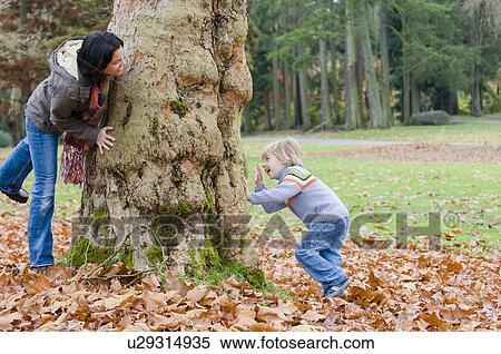 Young woman and young boy at opposite sides of large tree, Vancouver, British Columbia View Large Photo Image Stock Photography - Young woman and young boy at opposite sides of large tree, Vancouver, British Columbia. Fotosearch