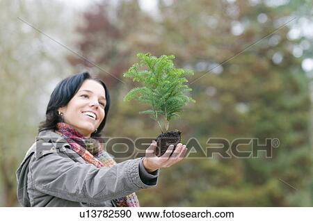Young woman holding small tree, Vancouver, British Columbia View Large Photo Image Stock Image - Young woman holding small tree, Vancouver, British Columbia. Fotosearch