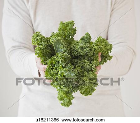 A bunch of kale View Large Photo Image Stock Photograph - A bunch of kale. Fotosearch