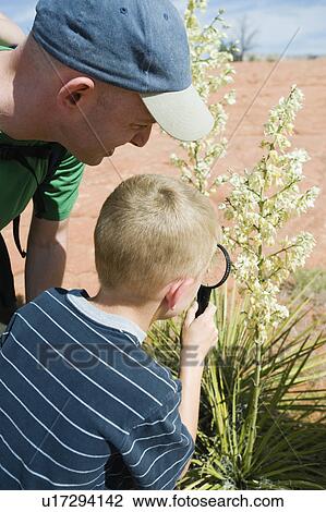 Stock Image - A father and son at Red Rock examining plants. Fotosearch