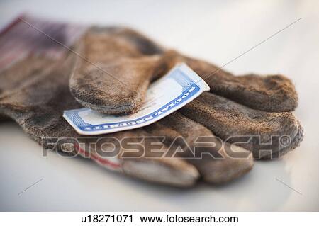 A glove with a social security card on it View Large Photo Image Stock Image - A glove with a social security card on it. Fotosearch