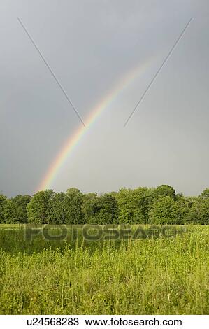 A rainbow in a field View Large Photo Image Stock Image - A rainbow in a field. Fotosearch