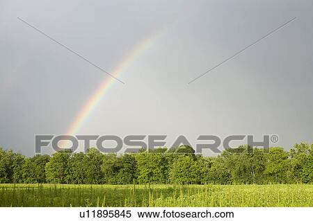 A rainbow in a field View Large Photo Image Stock Photography - A rainbow in a field. Fotosearch