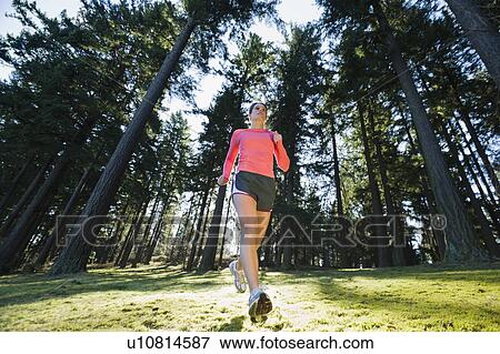 A runner in the woods View Large Photo Image Stock Photo - A runner in the woods. Fotosearch