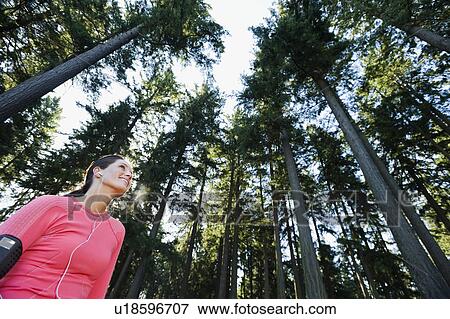 A runner in the woods View Large Photo Image Stock Photo - A runner in the woods. Fotosearch