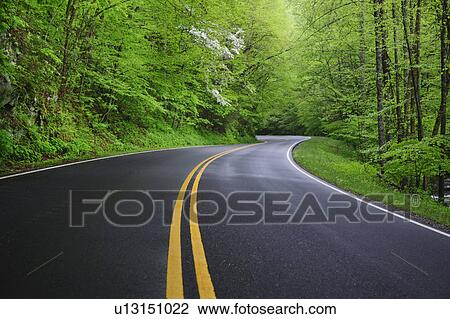 A scenic and empty road View Large Photo Image Stock Image - A scenic and empty road. Fotosearch