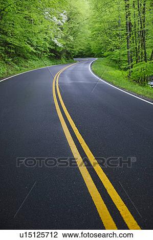 A scenic and empty road View Large Photo Image Stock Image - A scenic and empty road. Fotosearch