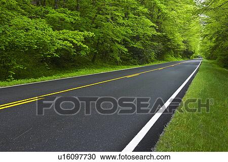 A scenic and empty road View Large Photo Image Stock Image - A scenic and empty road. Fotosearch