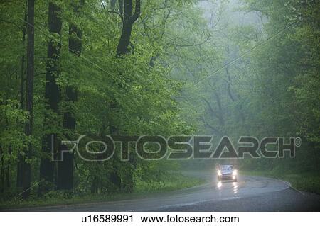 Stock Image - A scenic and empty road. Fotosearch