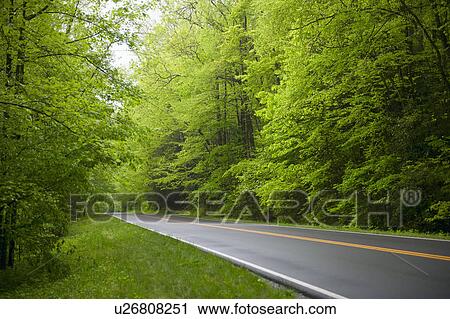 A scenic and empty road View Large Photo Image Stock Image - A scenic and empty road. Fotosearch