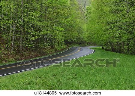 Stock Photography - A scenic and empty road. Fotosearch