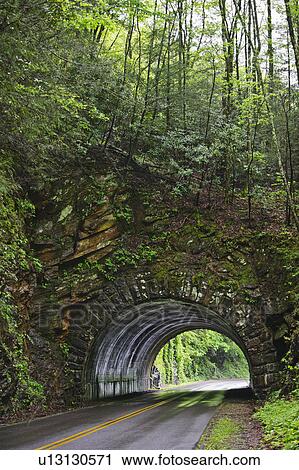 A scenic and empty road with tunnel View Large Photo Image Stock Image - A scenic and empty road with tunnel. Fotosearch