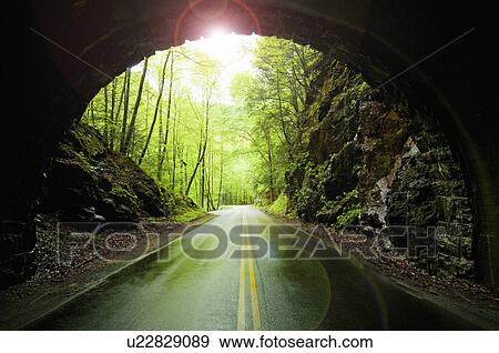 A scenic and empty road with tunnel View Large Photo Image Stock Photo - A scenic and empty road with tunnel. Fotosearch