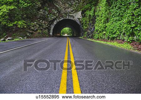A scenic and empty road with tunnel View Large Photo Image Stock Photography - A scenic and empty road with tunnel. Fotosearch