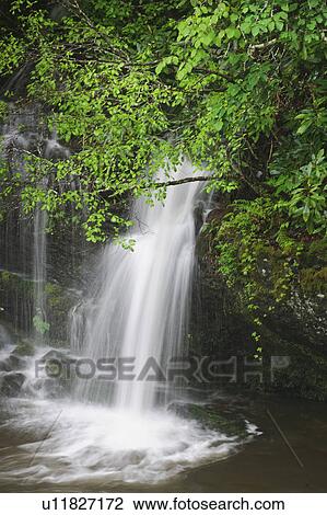 A scenic waterfall View Large Photo Image Stock Image - A scenic waterfall. Fotosearch