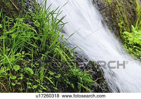 Stock Photo - A scenic waterfall. Fotosearch