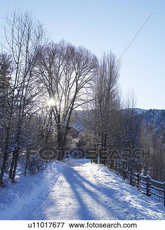 Stock Photo - A snowy road. Fotosearch