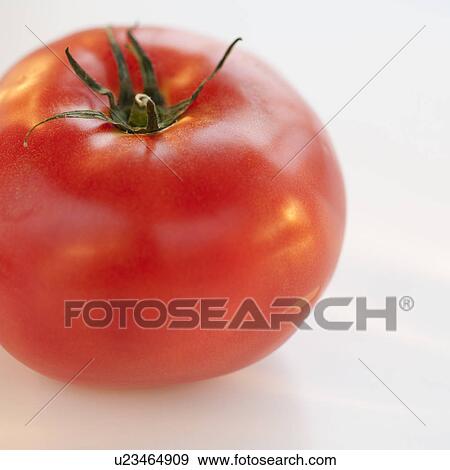 A tomato View Large Photo Image Stock Photo - A tomato. Fotosearch