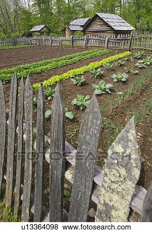 A vegetable garden at Smoky Mountain National Park View Large Photo Image Stock Photo - A vegetable garden at Smoky Mountain National Park. Fotosearch