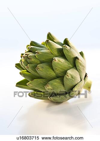 Stock Photography - An artichoke. Fotosearch