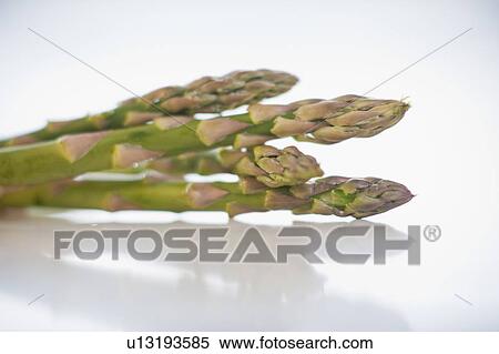 Asparagus spears View Large Photo Image Stock Photography - Asparagus spears. Fotosearch