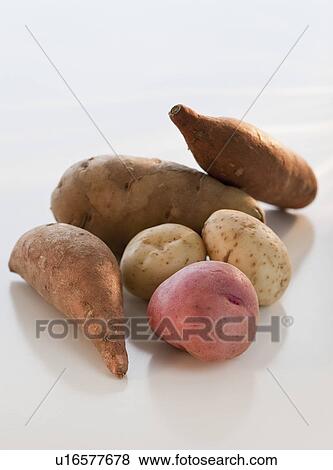 Assorted root vegetables View Large Photo Image Stock Photo - Assorted root vegetables. Fotosearch