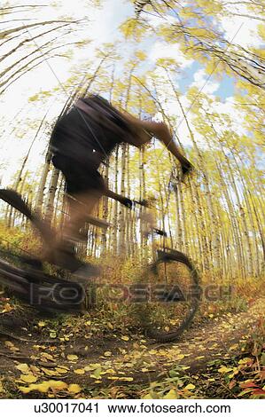 Stock Image - Biker in the woods. Fotosearch