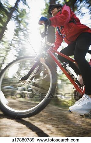 Biker in the woods View Large Photo Image Stock Photo - Biker in the woods. Fotosearch