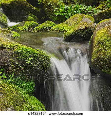 Flowing creek View Large Photo Image Picture - Flowing creek. Fotosearch