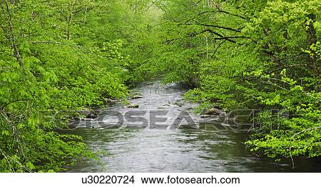 Flowing creek View Large Photo Image Picture - Flowing creek. Fotosearch