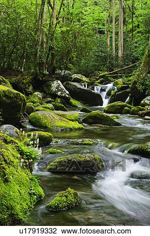 Stock Image - Flowing creek. Fotosearch