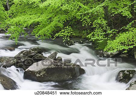 Flowing creek View Large Photo Image Stock Image - Flowing creek. Fotosearch