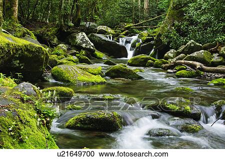 Stock Image - Flowing creek. Fotosearch