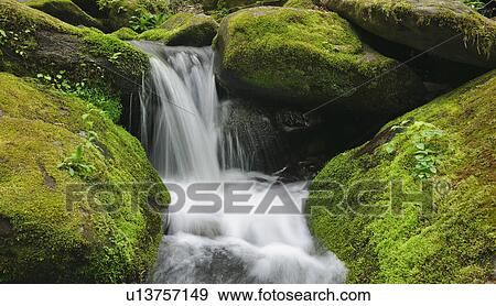 Flowing creek View Large Photo Image Stock Photo - Flowing creek. Fotosearch