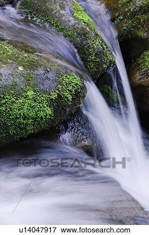 Flowing creek View Large Photo Image Stock Photo - Flowing creek. Fotosearch