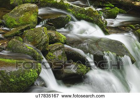 Flowing creek View Large Photo Image Stock Photo - Flowing creek. Fotosearch