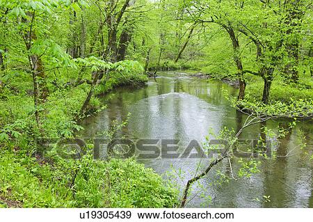 Flowing creek View Large Photo Image Stock Photo - Flowing creek. Fotosearch