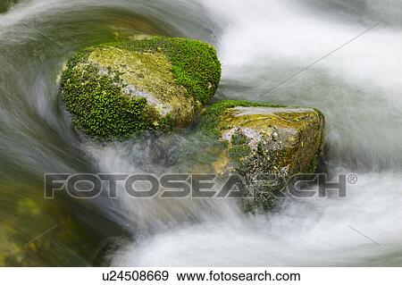Stock Photo - Flowing creek. Fotosearch