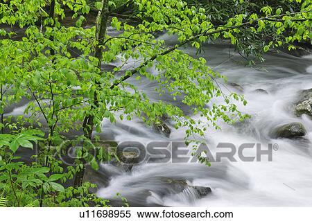Flowing creek View Large Photo Image Stock Photography - Flowing creek. Fotosearch