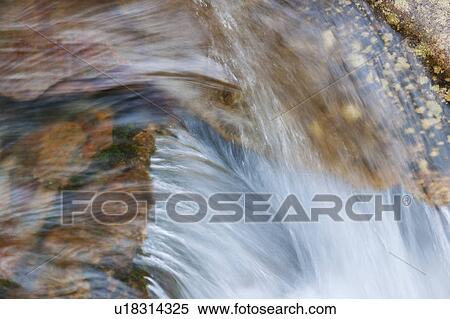 Flowing creek View Large Photo Image Stock Photography - Flowing creek. Fotosearch