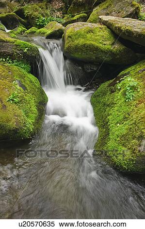 Flowing creek View Large Photo Image Stock Photography - Flowing creek. Fotosearch