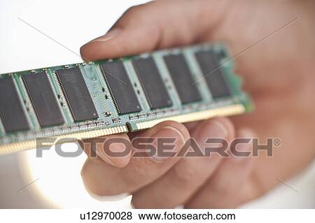 Hand holding computer chips View Large Photo Image Stock Photo - Hand holding computer chips. Fotosearch