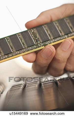 Hand holding computer chips View Large Photo Image Stock Photo - Hand holding computer chips. Fotosearch