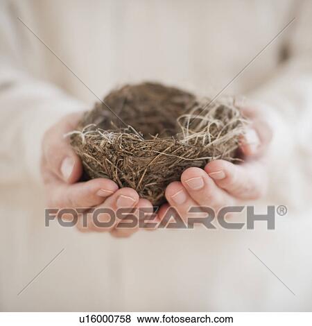Stock Photo - Hands holding a nest. Fotosearch