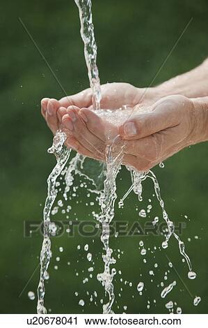 Hands under pouring water View Large Photo Image Stock Image - Hands under pouring water. Fotosearch