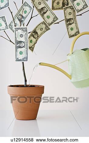 Money growing in a pot View Large Photo Image Stock Photo - Money growing in a pot. Fotosearch