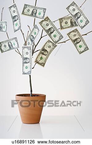 Money growing in a pot View Large Photo Image Stock Photograph - Money growing in a pot. Fotosearch