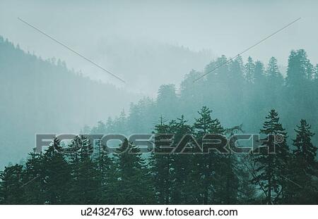 Stock Image - Mountain landscape with trees. Fotosearch