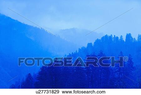 Mountain landscape with trees View Large Photo Image Stock Photo - Mountain landscape with trees. Fotosearch