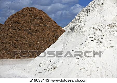 Organic residue at Delray Beach View Large Photo Image Stock Image - Organic residue at Delray Beach. Fotosearch